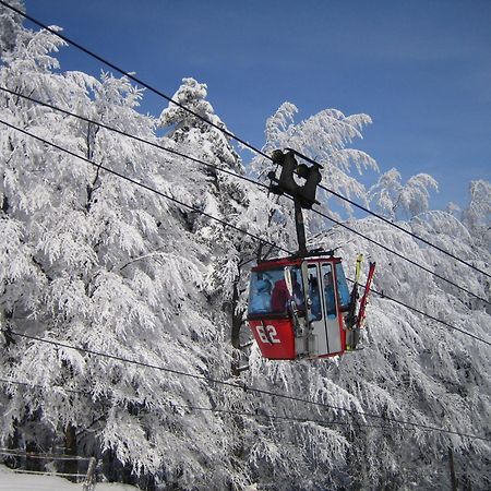 Pohorje Village Wellbeing Resort - Forest Hotel Videc Хочко Погорье Экстерьер фото