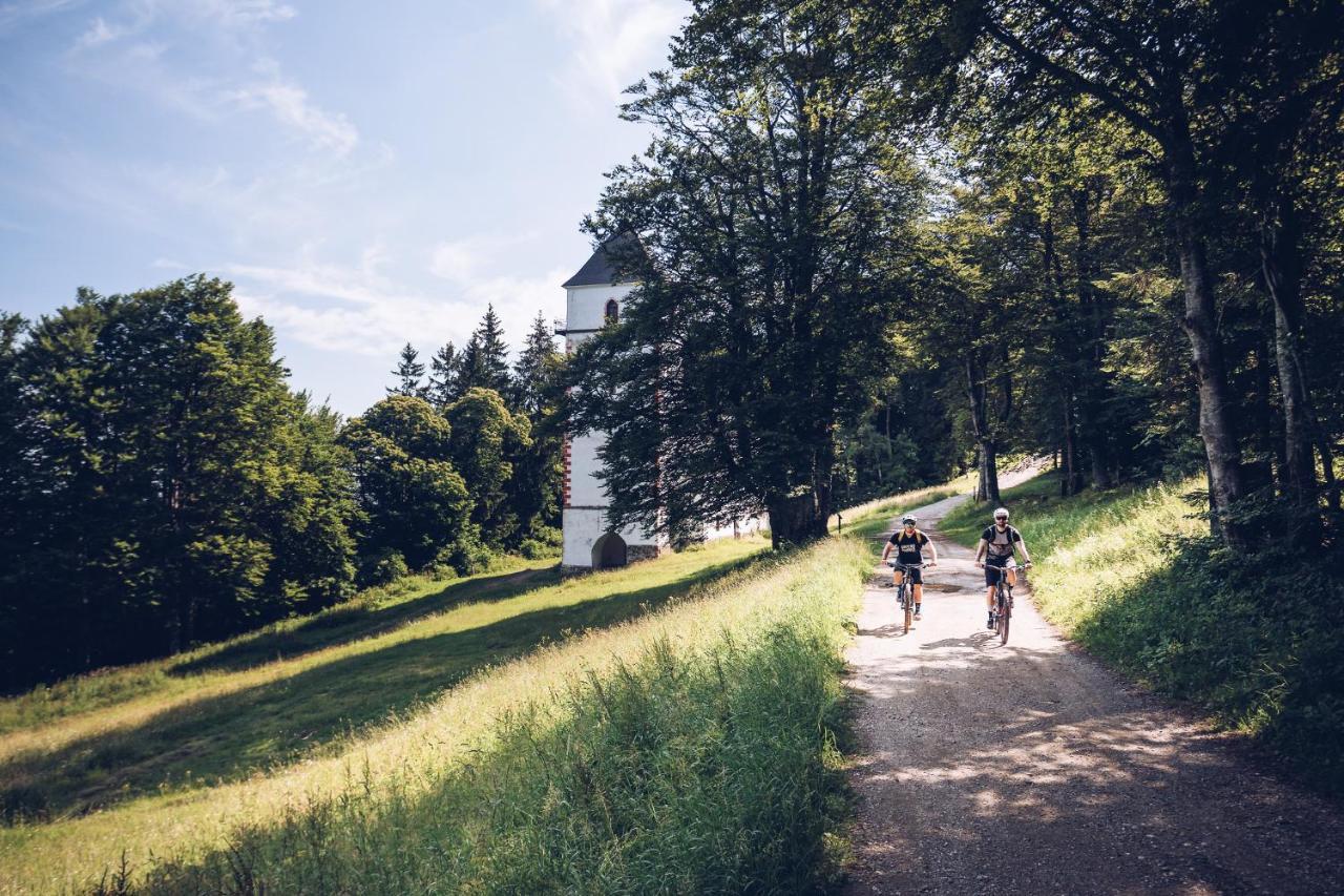 Pohorje Village Wellbeing Resort - Forest Hotel Videc Хочко Погорье Экстерьер фото