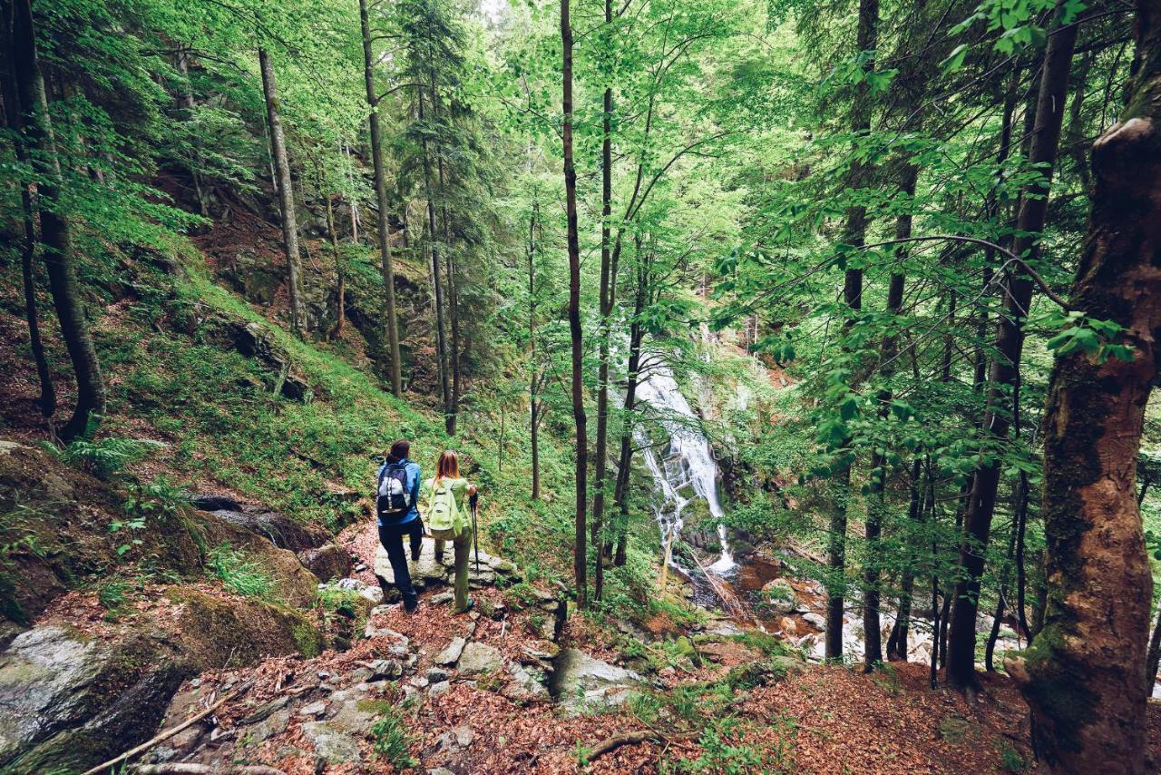 Pohorje Village Wellbeing Resort - Forest Hotel Videc Хочко Погорье Экстерьер фото