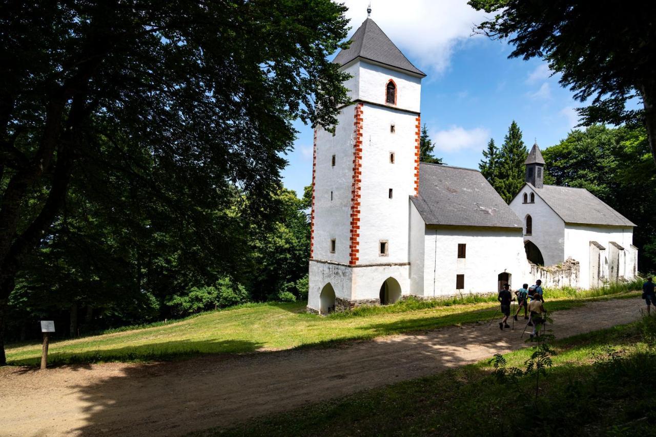 Pohorje Village Wellbeing Resort - Forest Hotel Videc Хочко Погорье Экстерьер фото