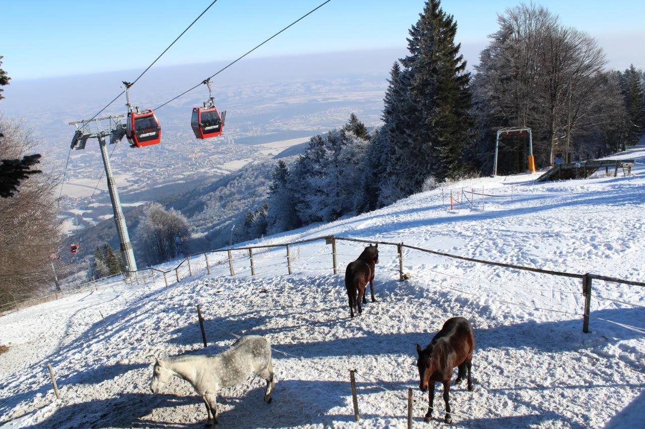 Pohorje Village Wellbeing Resort - Forest Hotel Videc Хочко Погорье Экстерьер фото