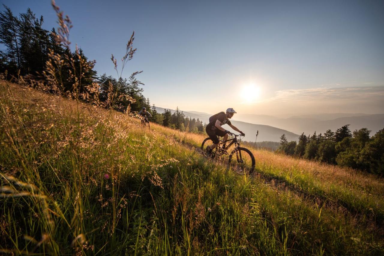 Pohorje Village Wellbeing Resort - Forest Hotel Videc Хочко Погорье Экстерьер фото